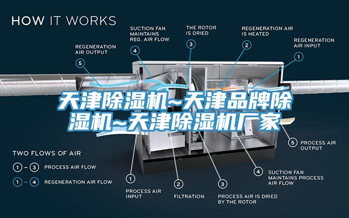 天津猫咪成人官网~天津品牌猫咪成人官网~天津猫咪成人官网厂家