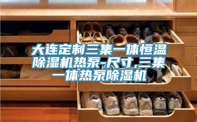 大连定制三集一体恒温猫咪成人官网热泵-尺寸,三集一体热泵猫咪成人官网