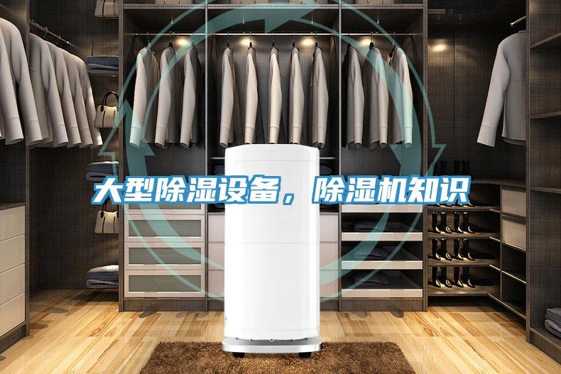 大型除湿设备，猫咪成人官网知识