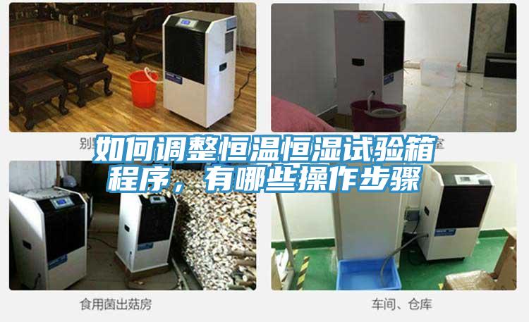 如何调整恒温恒湿试验箱程序，有哪些操作步骤