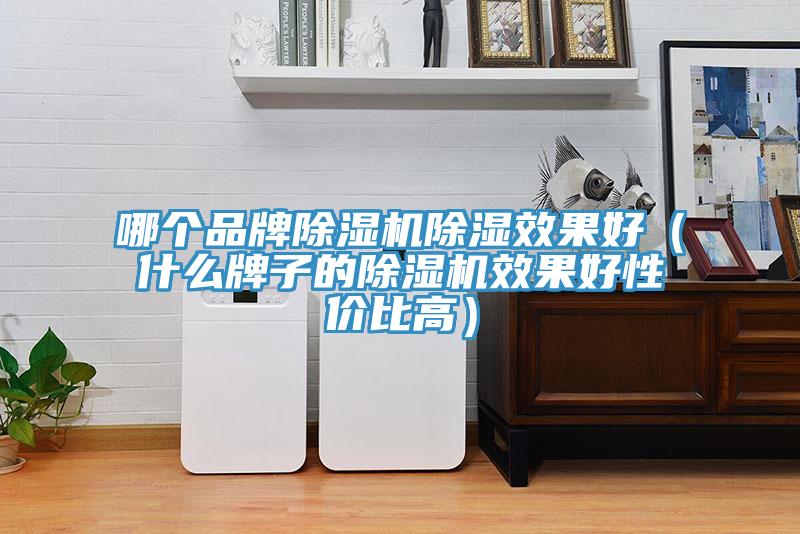 哪个品牌猫咪成人官网除湿效果好（什么牌子的猫咪成人官网效果好性价比高）
