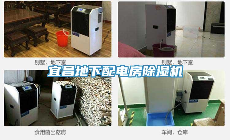 宜昌地下配电房猫咪成人官网