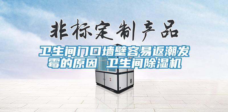 卫生间门口墙壁容易返潮发霉的原因 卫生间猫咪成人官网