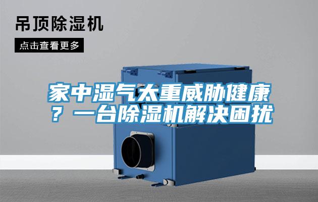 家中湿气太重威胁健康？一台猫咪成人官网解决困扰