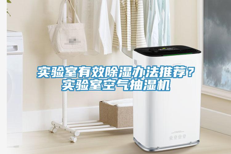 实验室有效除湿办法推荐？实验室空气抽湿机
