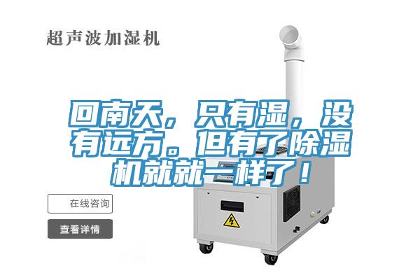 回南天，只有湿，没有远方。但有了猫咪成人官网就就一样了！