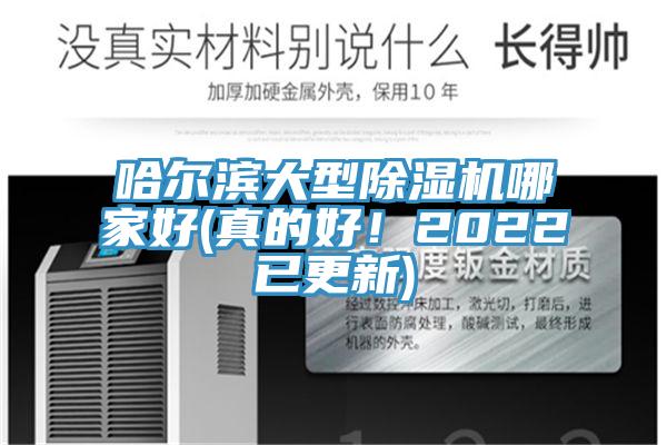 哈尔滨大型猫咪成人官网哪家好(真的好！2022已更新)