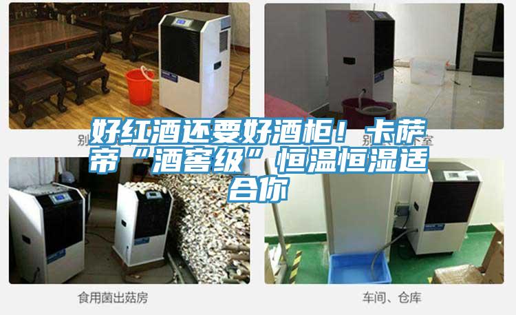 好红酒还要好酒柜！卡萨帝“酒窖级”恒温恒湿适合你