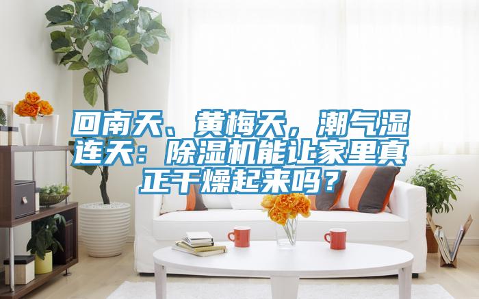 回南天、黄梅天，潮气湿连天：猫咪成人官网能让家里真正干燥起来吗？