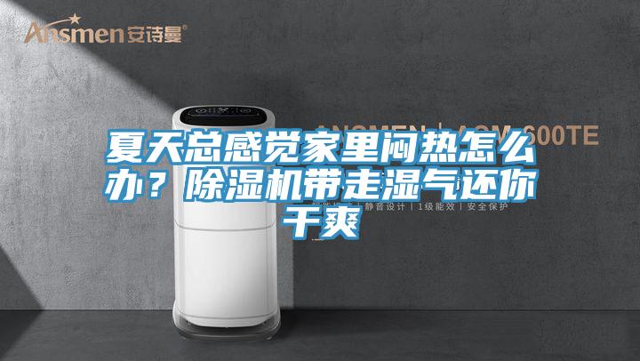 夏天总感觉家里闷热怎么办？猫咪成人官网带走湿气还你干爽