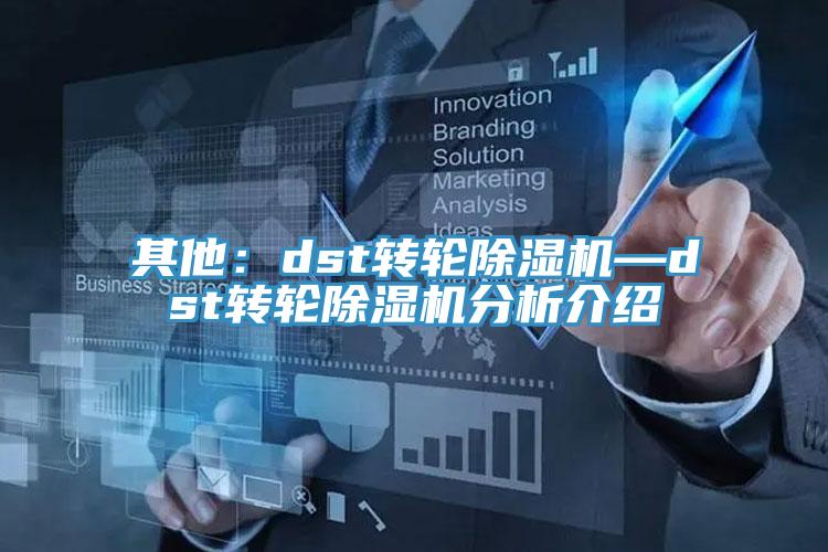 其他：dst转轮猫咪成人官网—dst转轮猫咪成人官网分析介绍