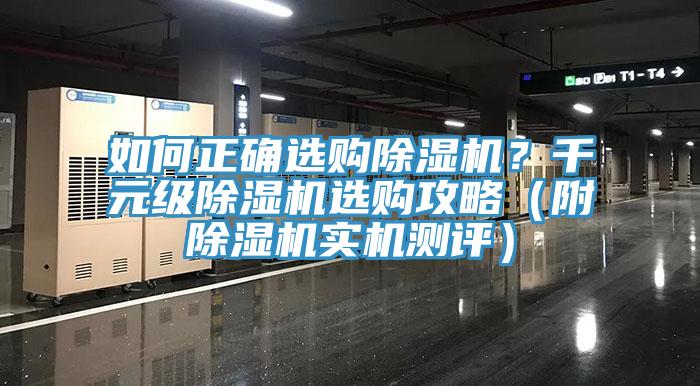 如何正确选购猫咪成人官网？千元级猫咪成人官网选购攻略（附猫咪成人官网实机测评）