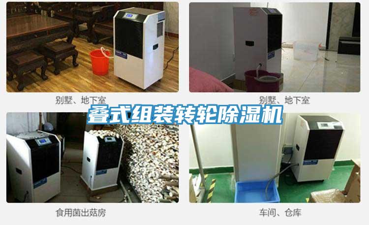 叠式组装转轮猫咪成人官网