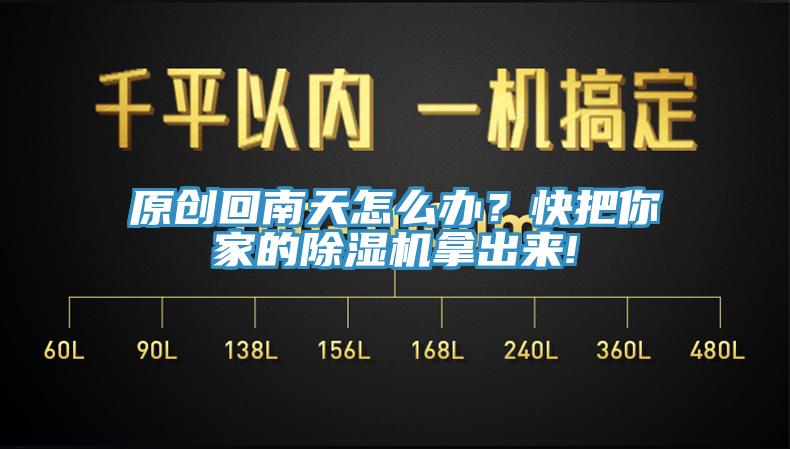 原创回南天怎么办？快把你家的猫咪成人官网拿出来!