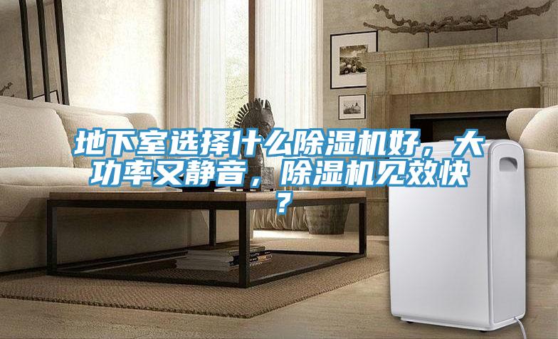 地下室选择什么猫咪成人官网好，大功率又静音，猫咪成人官网见效快？