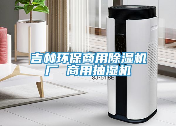 吉林环保商用猫咪成人官网厂 商用抽湿机