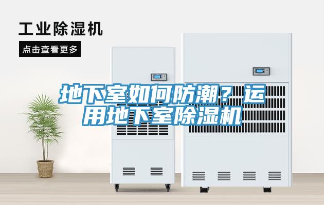地下室如何防潮？运用地下室猫咪成人官网