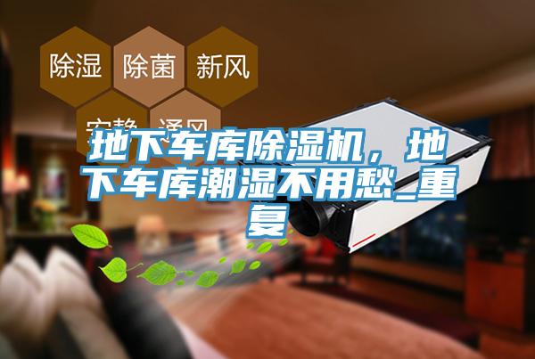 地下车库猫咪成人官网，地下车库潮湿不用愁_重复