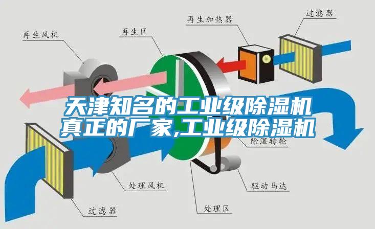 天津知名的工业级猫咪成人官网真正的厂家,工业级猫咪成人官网
