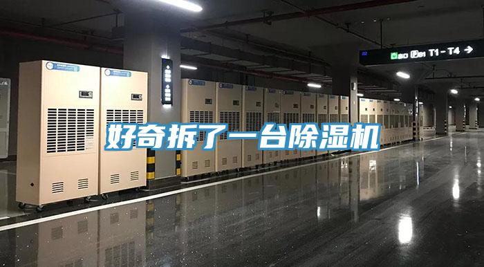 好奇拆了一台猫咪成人官网