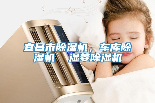 宜昌市猫咪成人官网，车库猫咪成人官网  湿菱猫咪成人官网