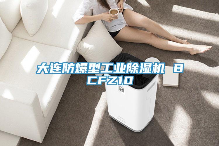 大连防爆型工业猫咪成人官网 BCFZ10