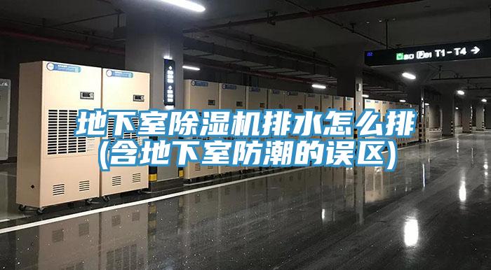 地下室猫咪成人官网排水怎么排(含地下室防潮的误区)