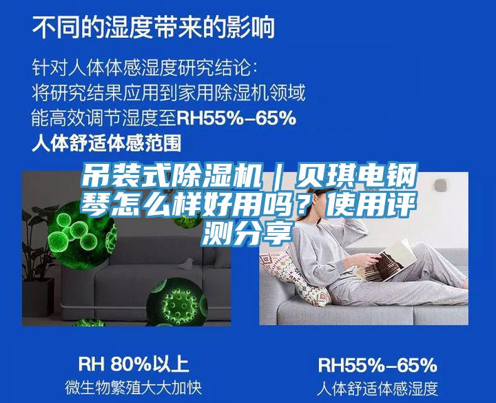 吊装式猫咪成人官网｜贝琪电钢琴怎么样好用吗？使用评测分享