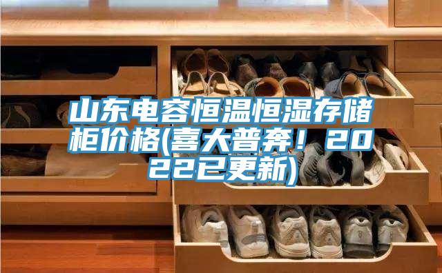 山东电容恒温恒湿存储柜价格(喜大普奔！2022已更新)