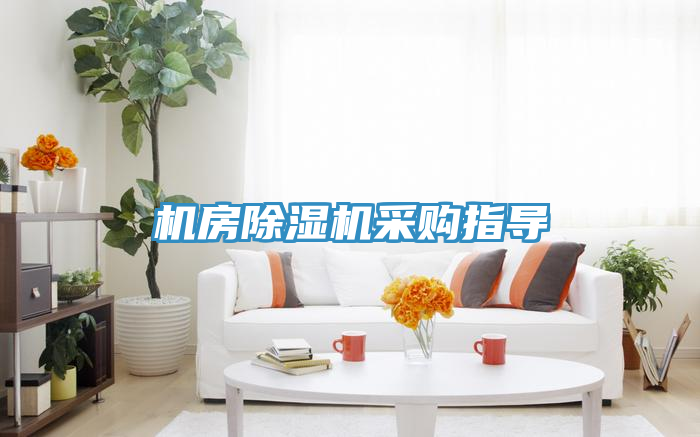 机房猫咪成人官网采购指导