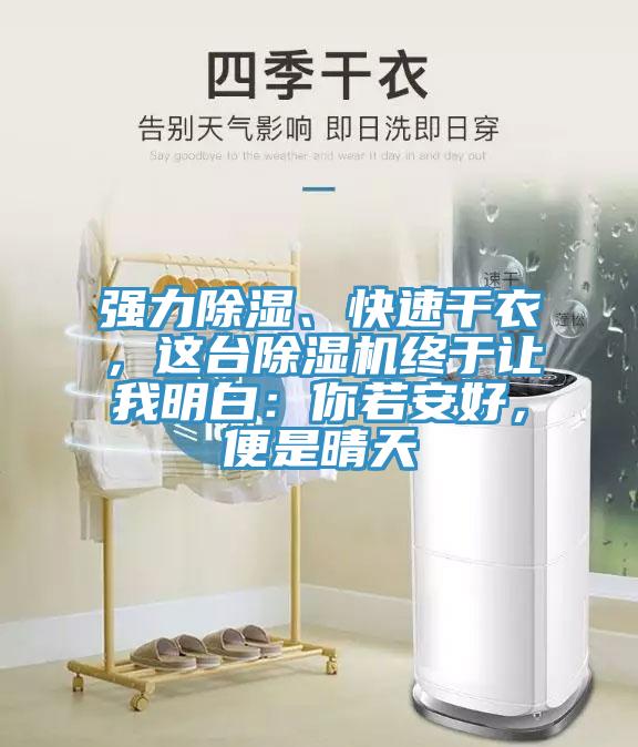 强力除湿、快速干衣，这台猫咪成人官网终于让我明白：你若安好，便是晴天
