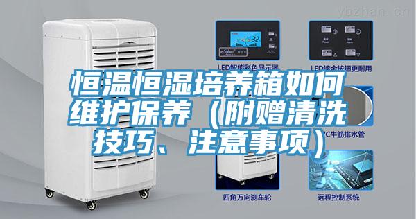 恒温恒湿培养箱如何维护保养（附赠清洗技巧、注意事项）