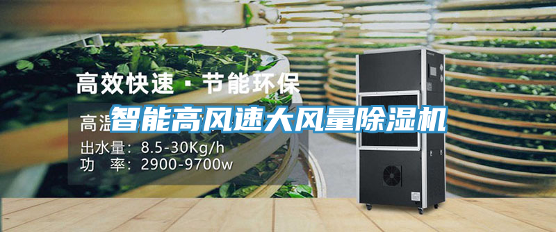 智能高风速大风量猫咪成人官网
