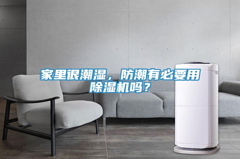 家里很潮湿，防潮有必要用猫咪成人官网吗？