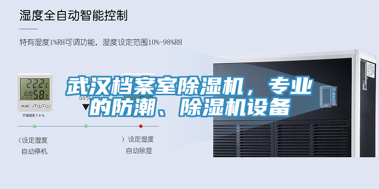 武汉档案室猫咪成人官网，专业的防潮、猫咪成人官网设备