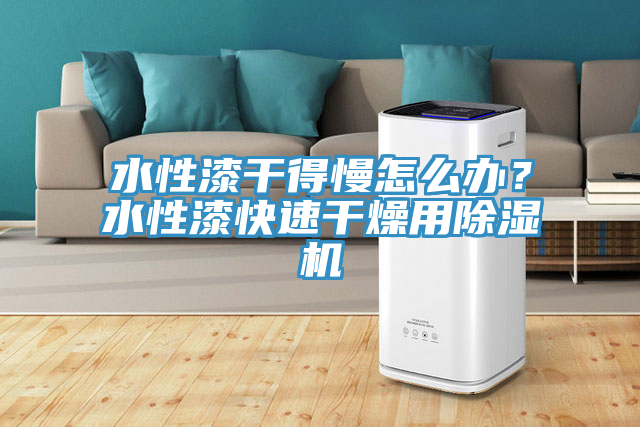 水性漆干得慢怎么办？水性漆快速干燥用猫咪成人官网