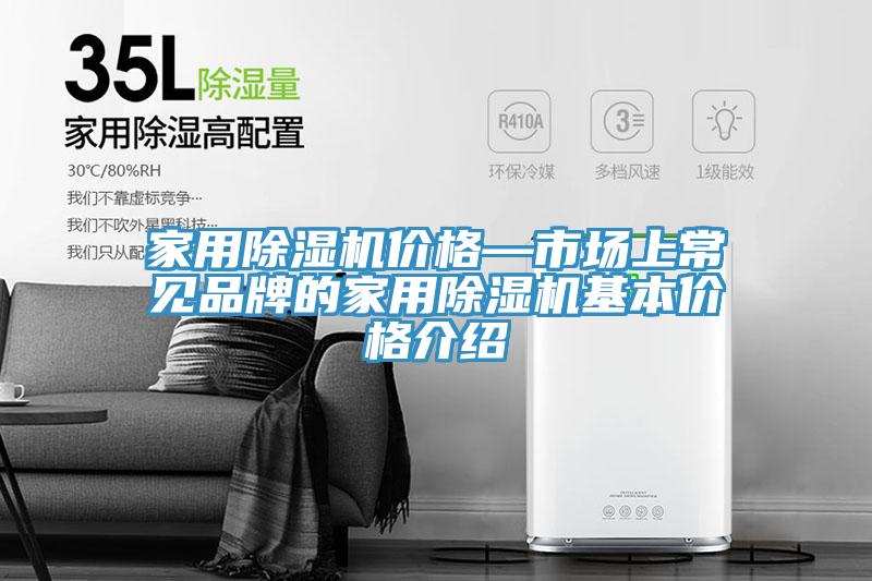 家用猫咪成人官网价格—市场上常见品牌的家用猫咪成人官网基本价格介绍