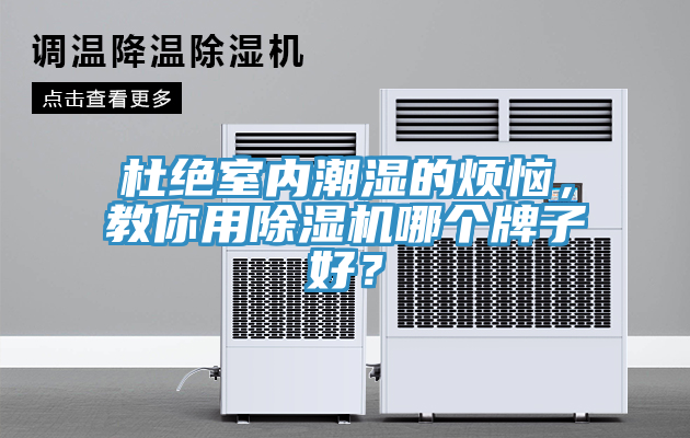 杜绝室内潮湿的烦恼，教你用猫咪成人官网哪个牌子好？