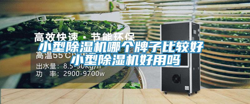 小型猫咪成人官网哪个牌子比较好 小型猫咪成人官网好用吗