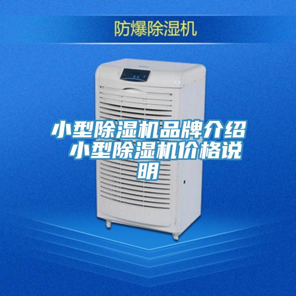 小型猫咪成人官网品牌介绍 小型猫咪成人官网价格说明