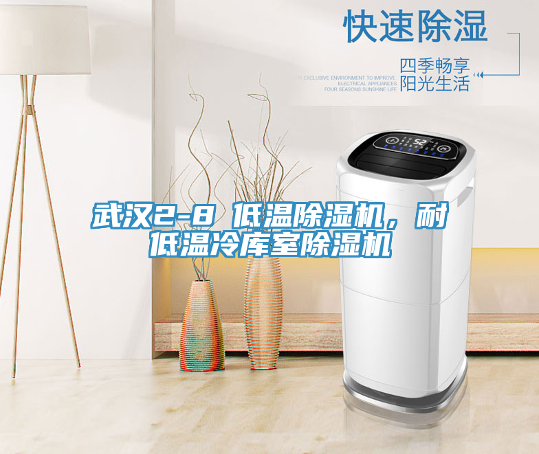 武汉2-8℃低温猫咪成人官网，耐低温冷库室猫咪成人官网