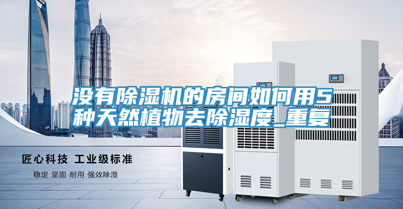 没有猫咪成人官网的房间如何用5种天然植物去除湿度_重复