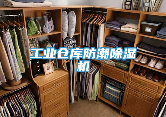 工业仓库防潮猫咪成人官网