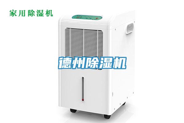 德州猫咪成人官网