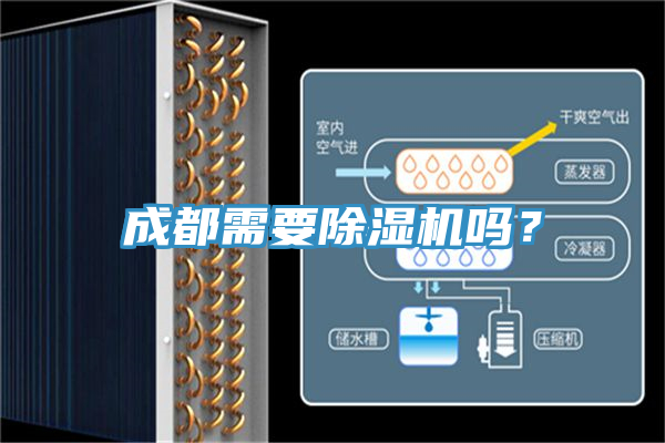 成都需要猫咪成人官网吗？