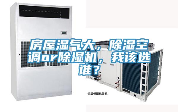 房屋湿气大，除湿空调or猫咪成人官网，我该选谁？