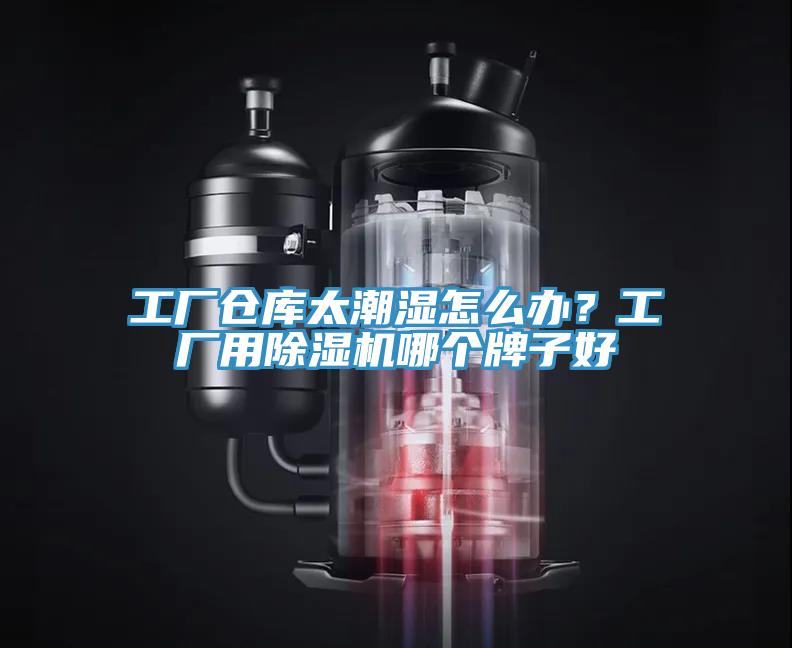 工厂仓库太潮湿怎么办？工厂用猫咪成人官网哪个牌子好