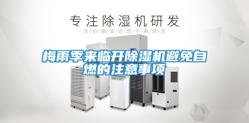 梅雨季来临开猫咪成人官网避免自燃的注意事项