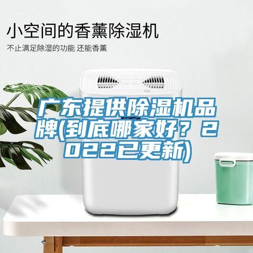 广东提供猫咪成人官网品牌(到底哪家好？2022已更新)