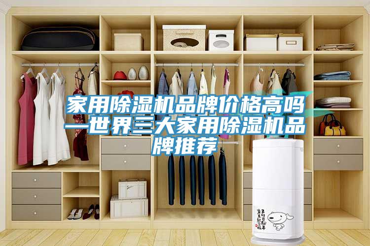家用猫咪成人官网品牌价格高吗—世界三大家用猫咪成人官网品牌推荐